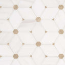 Bianco Dolomite Cecily Pattern - Stone Tile