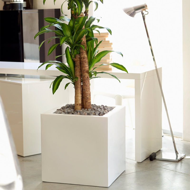 Cubo Planters by Vondom | Modern Patio and Lawn Accessory 