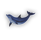 dolphin pool mosaic