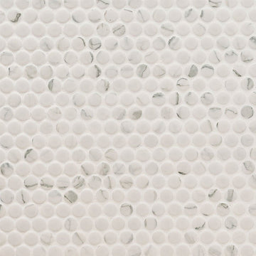 Domino Matte Carrara, Penny Round Mosaic | Porcelain Tile by MSI 