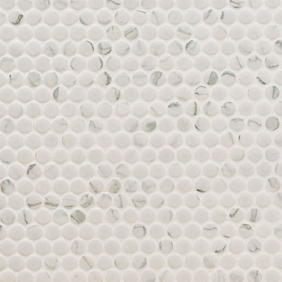 Domino Matte Carrara, Penny Round Mosaic | Porcelain Tile by MSI 