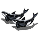 Double Orca w/ Shadow - Pool Mosaic