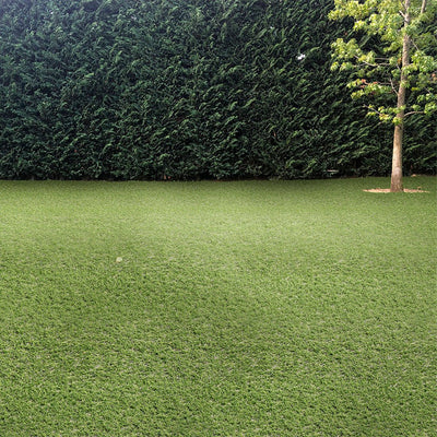 Evergrass Emerald Green Turf 76, 15 Ft Wide - Premium Artificial Grass
