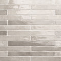 Flamenco Whales Gray, 2" x 18" - Porcelain Tile