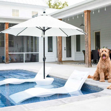 Ledge Lounger Signature Chaise Lounger | In-pool furniture