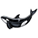 Orca - Pool Mosaic