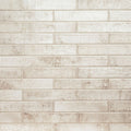 Stella Biscotti, 2" x 10" - Ceramic Tile