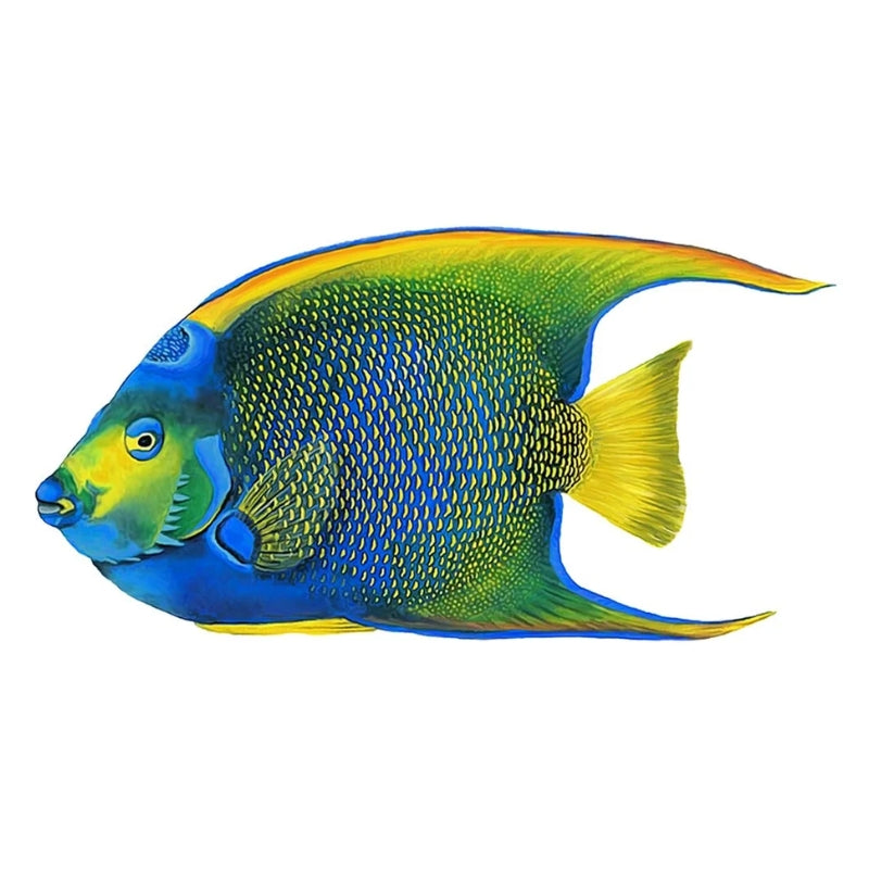FISH