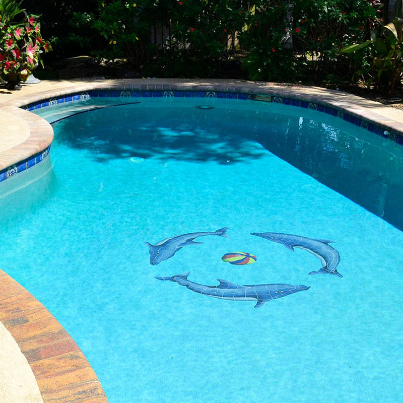 Dolphin Group, Multi Color Ball with Shadow - Pool Mosaic