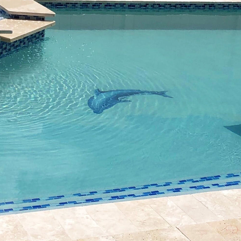 Dolphin Left | DOLBLULS | Pool Mosaic