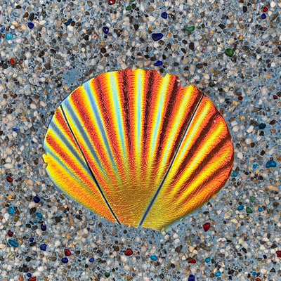Fusion Seashell - Rainbow | MSSHRAIB | Pool Mosaic