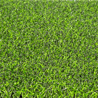 Bermuda 71 Putting Green Turf | Artificial Putting Greens