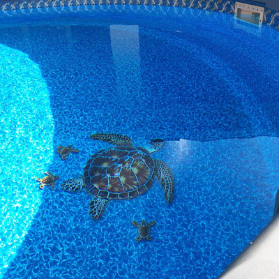 Baby Turtle B - Brown | PORC-ST21B-BR | Pool Mosaic