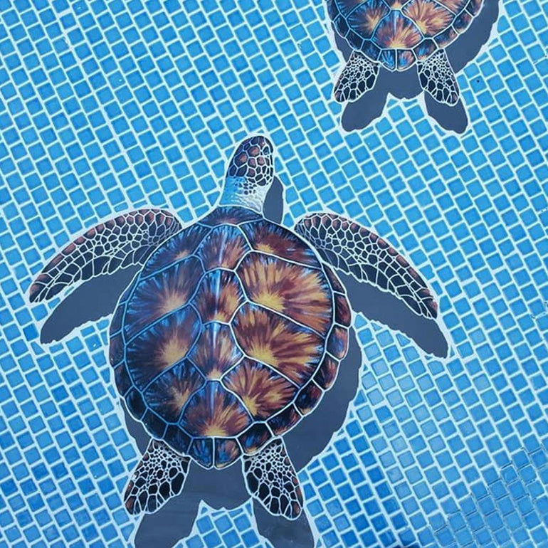 Brown Turtle w/Shadow | PORC-BT10-10/SH | Pool Mosaic