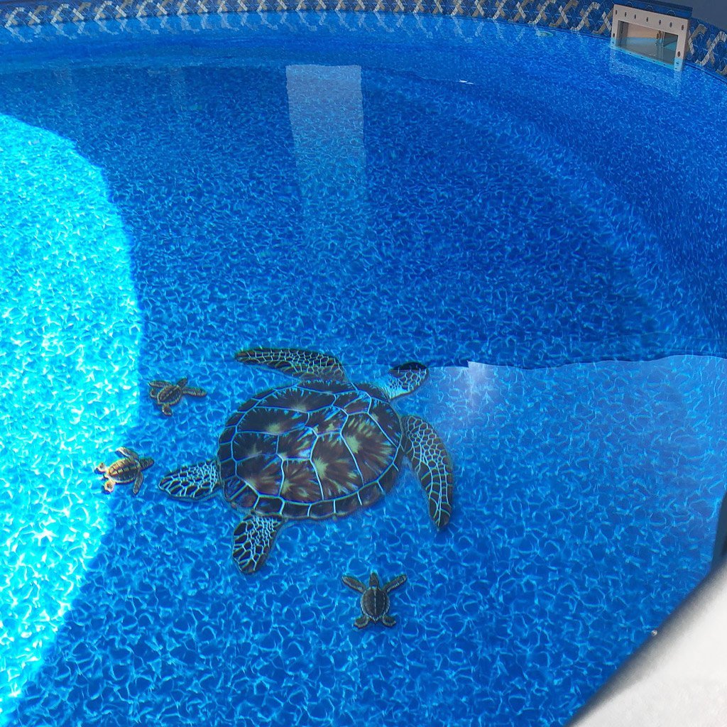 Brown Turtle | PORC-BT10-10 | Pool Mosaic
