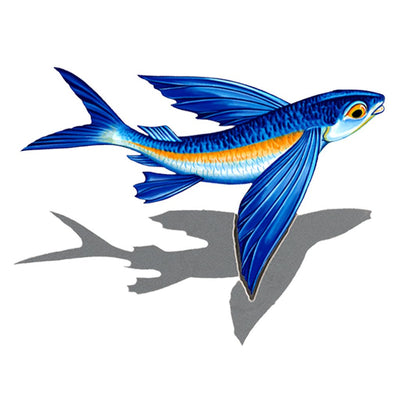 Flying Fish Porc-B w/Shadow | PORC-FF14/SH | Pool Mosaic