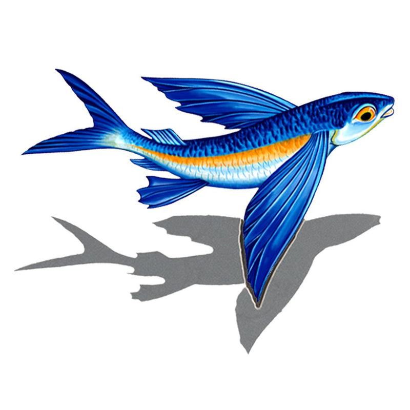 Flying Fish Porc-B w/Shadow | PORC-FF14/SH | Pool Mosaic