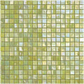 Calicantus 2, 5/8" x 5/8" - Glass Tile