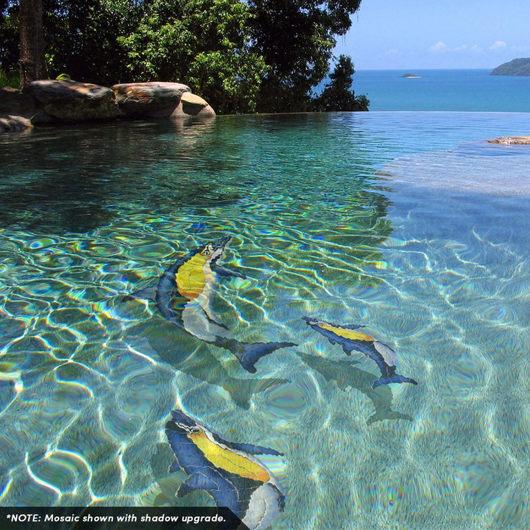 Common Dolphin - A | D1-33 | Pool Mosaic by Custom Mosaics