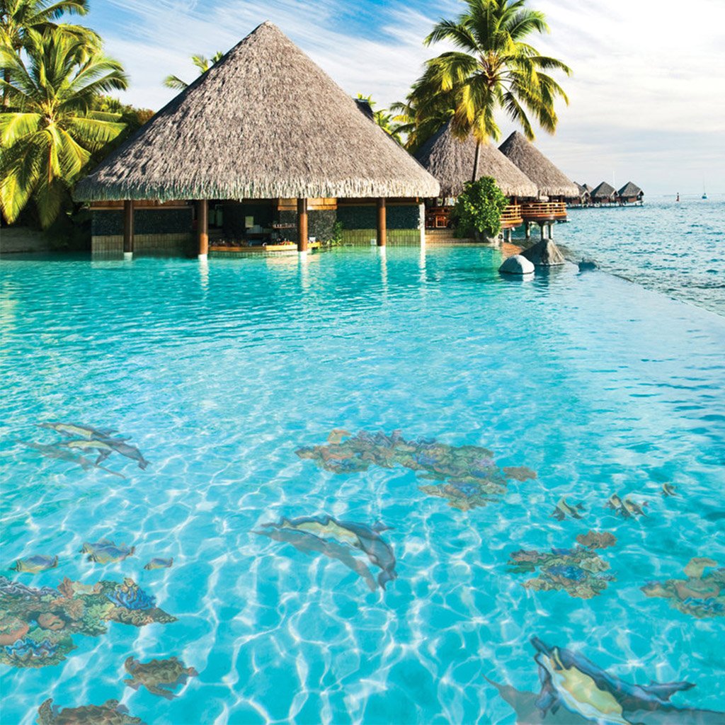 Coral Reef E | PORC-CR30E | Pool Mosaic by AquaBlu Mosaics
