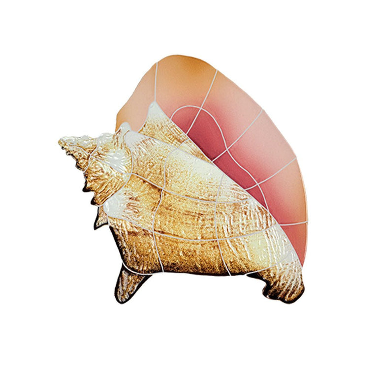 Conch Shell | CONTAS | Pool Mosaic – AquaBlu Mosaics