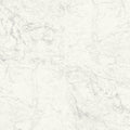 Naturale Carrara, 24" x 24" - 2CM Outdoor Porcelain Paver
