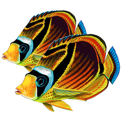 PORC-BF23D-9 Raccoon Butterflyfish (Double) Custom Mosaics