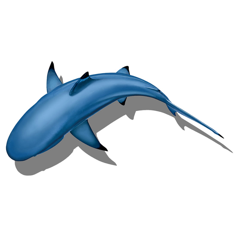 PORC-CS99/SH1	Circling Shark with Shadow 