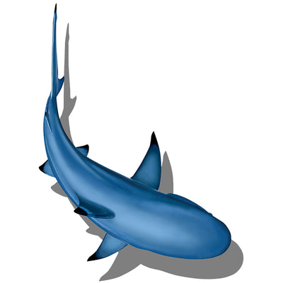 PORC-CS99/SH2	Circling Shark with Shadow #2	| Custom Mosaics Pool Mosaic