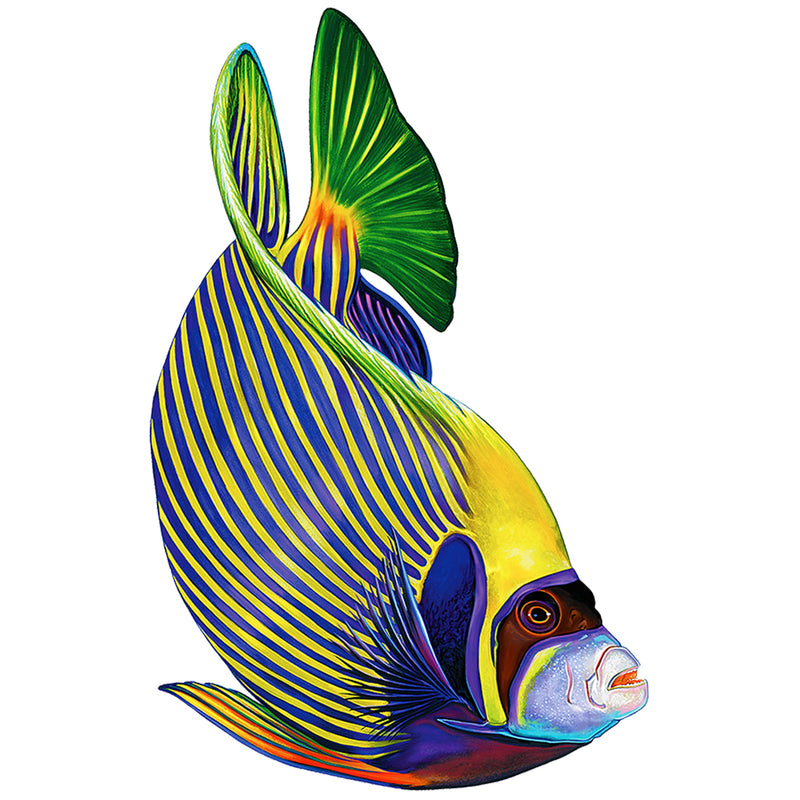 Emperor Angelfish | PORC-EF5-4 | Pool Mosaic by AquaBlu Mosaics