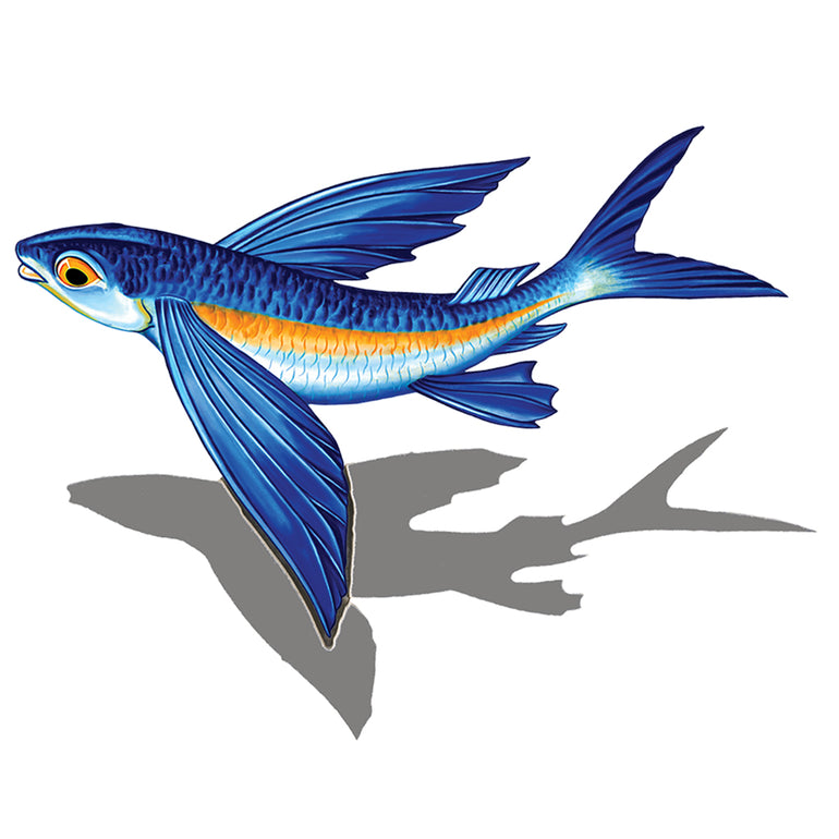 PORC-FF14R/SH	Flying Fish-B Reverse (with shadow)	| Custom Mosaics Pool Mosaic