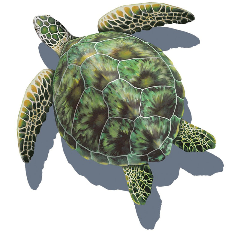 Green Porc Sea Turtle w/Shadow | PORC-GT3-10/SH | Pool Mosaic by AquaBlu Mosaics