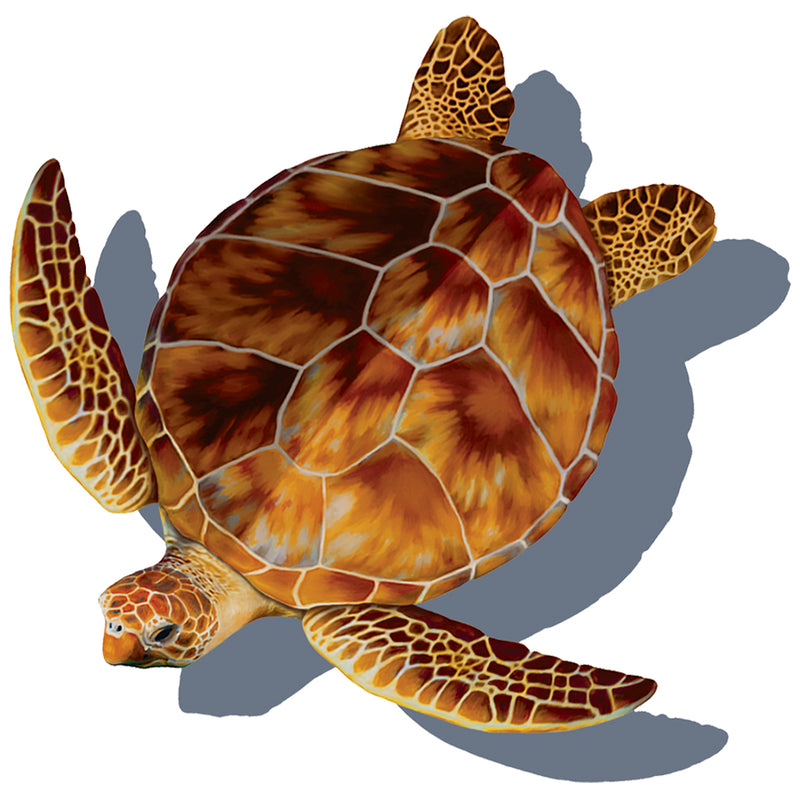 PORC-LT4-10/SH Loggerhead Turtle, Porc w/Shadow Custom Mosaics