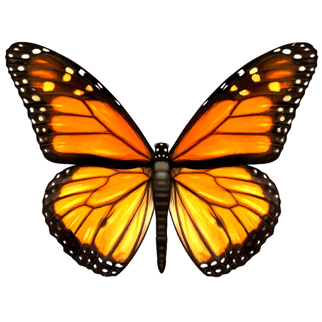 PORC-MB124	Monarch Butterfly	| Custom Mosaics Pool Mosaic