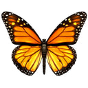 Monarch Butterfly - Pool Mosaic