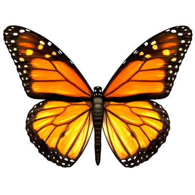 PORC-MB124	Monarch Butterfly	| Custom Mosaics Pool Mosaic