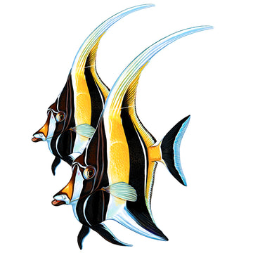 PORC-MF7D-12 Moorish Idol Double, Porc Custom Mosaics