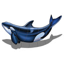 Orca - B, Porc w/Shadow - Pool Mosaic