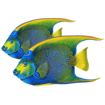 PORC-QF95D-9	Queen Angelfish Double	| Custom Mosaics Pool Mosaic