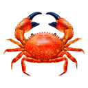 Red Crab - Pool Mosaic
