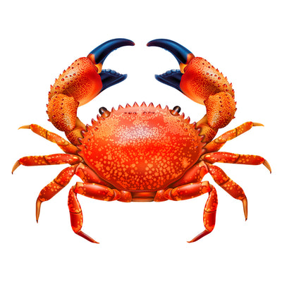 PORC-RC100-7	Red Crab	| Custom Mosaics Pool Mosaic