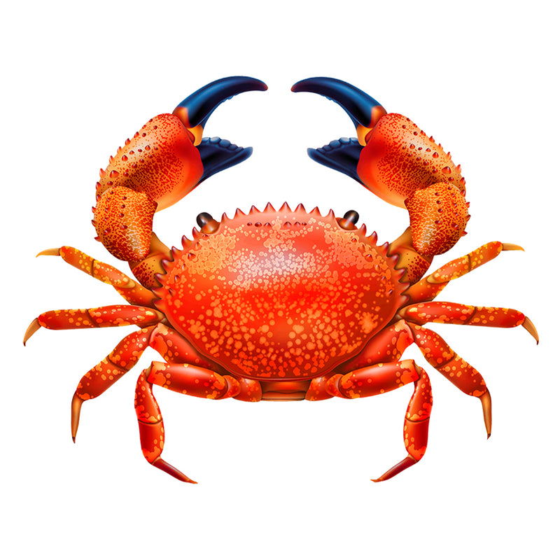 PORC-RC100-7	Red Crab	| Custom Mosaics Pool Mosaic