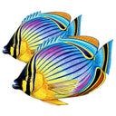 Redfin Butterflyfish (Double)  - Pool Mosaic