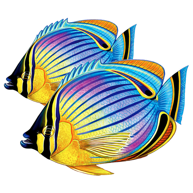 Redfin Butterflyfish (Double) | PORC-RF24D-9 | Pool Mosaic