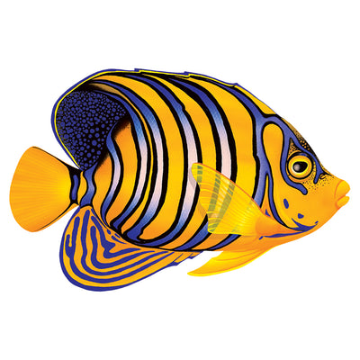 PORC-RF8-5 Regal Angelfish Custom Mosaics