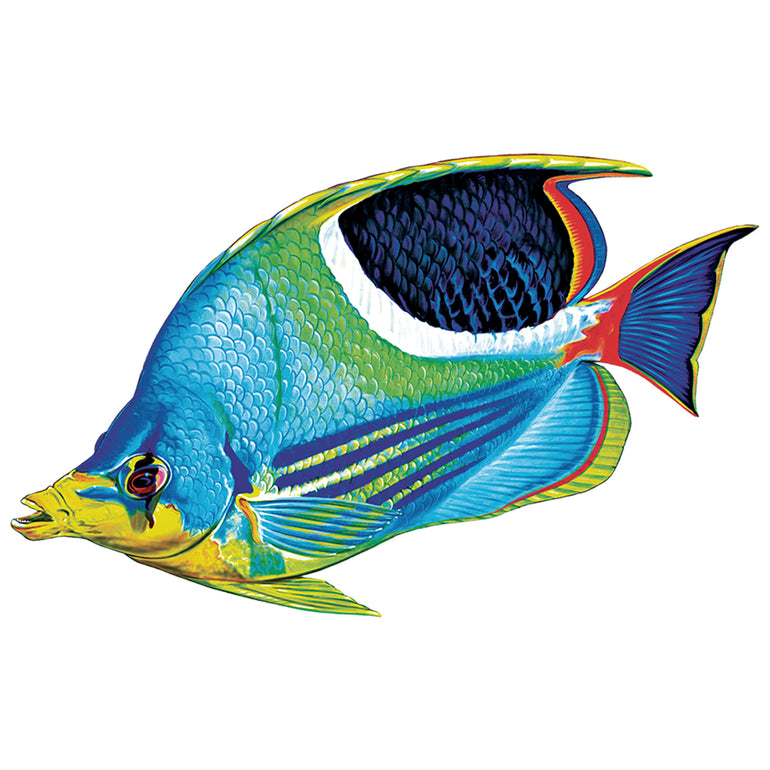 Saddled Butterflyfish, Porc | PORC-SF6-5 | Pool Mosaic