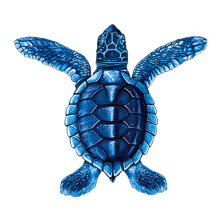 PORC-ST20A-BL Baby Blue Sea Turtle