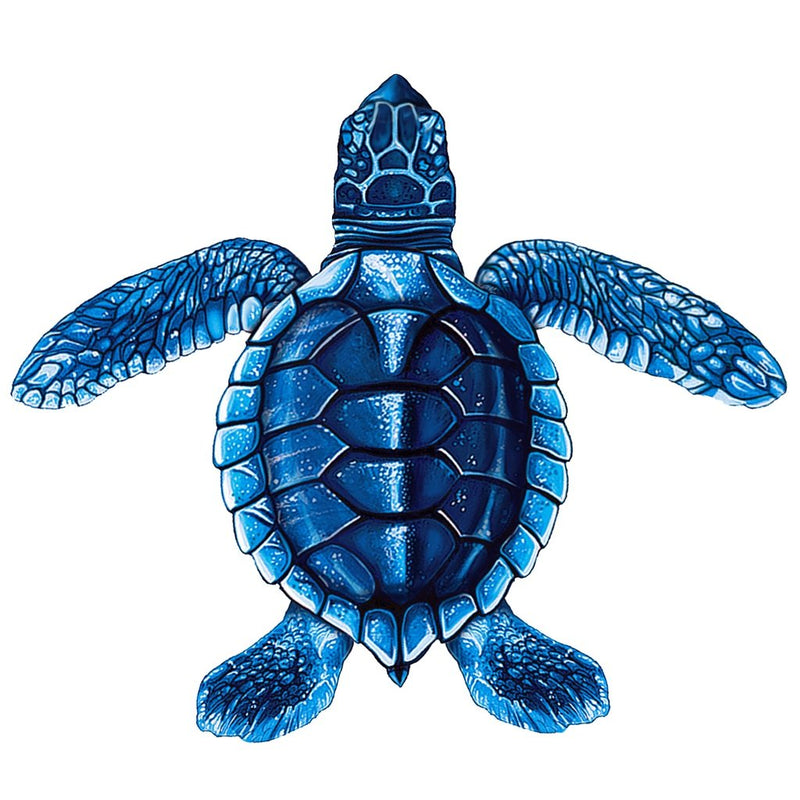 PORC-ST22C-BL Baby Turtle C- Blue