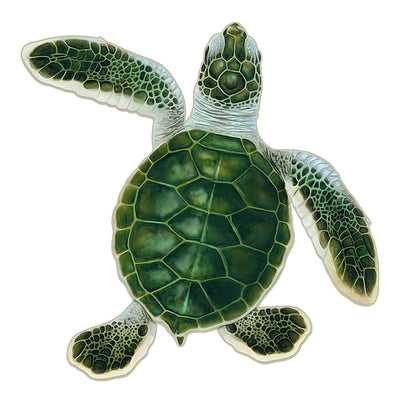 PORC-TH84B	Turtle Hatchling B - Green	| Custom Mosaics Pool Mosaic