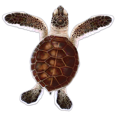 PORC-TH85A	Turtle Hatchling A - Brown	| Custom Mosaics Pool Mosaic